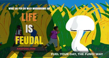 Mastering Mushroom Uses in Life is Feudal: Survival Tips and Tricks