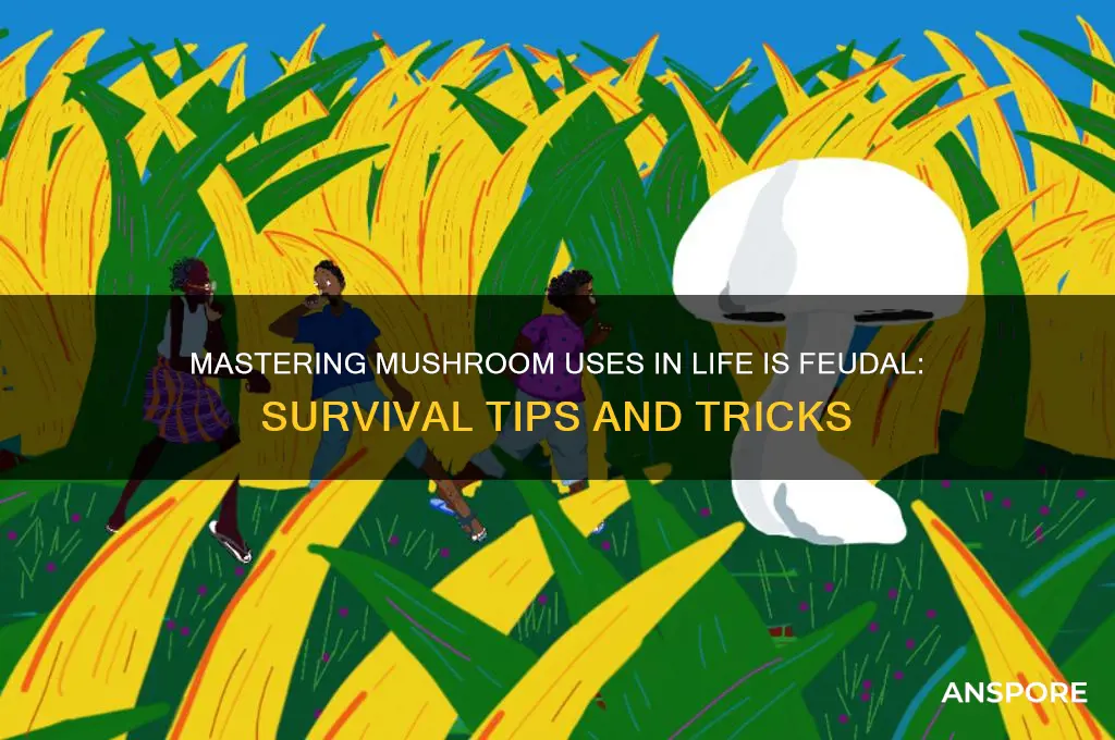 what do you do with mushrooms on life is feudal