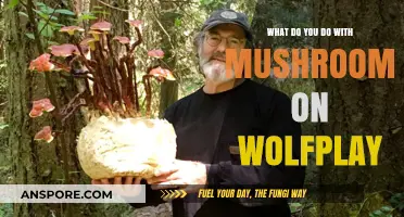 Mushroom Strategies: Maximizing Benefits in WolfPlay Gameplay