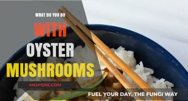 Creative Ways to Cook and Enjoy Oyster Mushrooms at Home