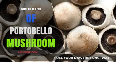 Unveiling the Surprising Benefits and Uses of Portobello Mushrooms