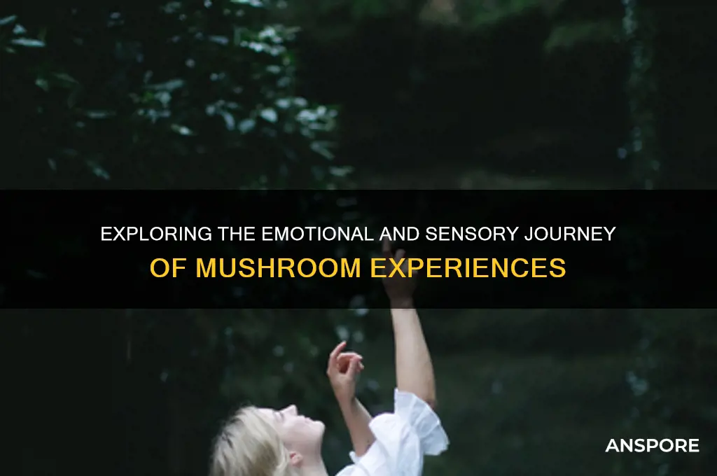 what do you feel on mushrooms