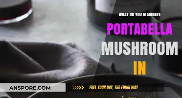 Perfect Portabella Marinades: Flavorful Recipes for Juicy, Grilled Mushrooms