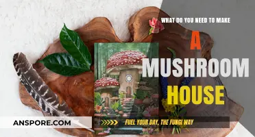 Building a Mushroom House: Essential Materials and Creative Tips