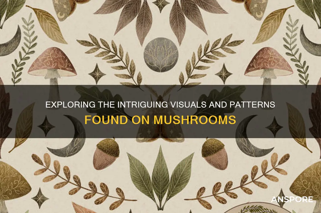 what do you see on mushrooms