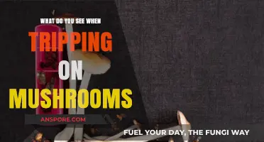 Exploring the Surreal: Visual Experiences During a Mushroom Trip