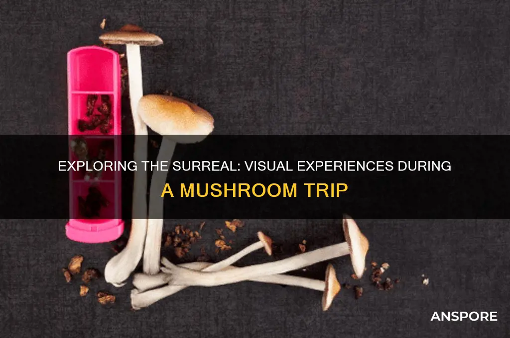 what do you see when tripping on mushrooms