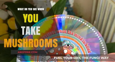 Exploring the Psychedelic Realm: Visions and Insights from Mushroom Experiences