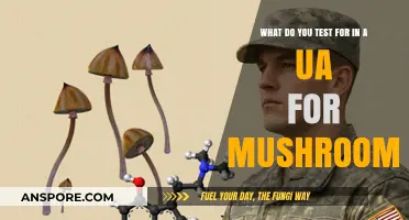 Mushroom UA Testing: Key Substances Detected in Urine Analysis