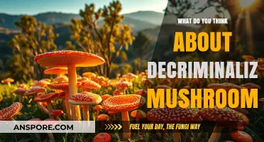 Decriminalized Mushrooms: A Step Forward or a Slippery Slope?