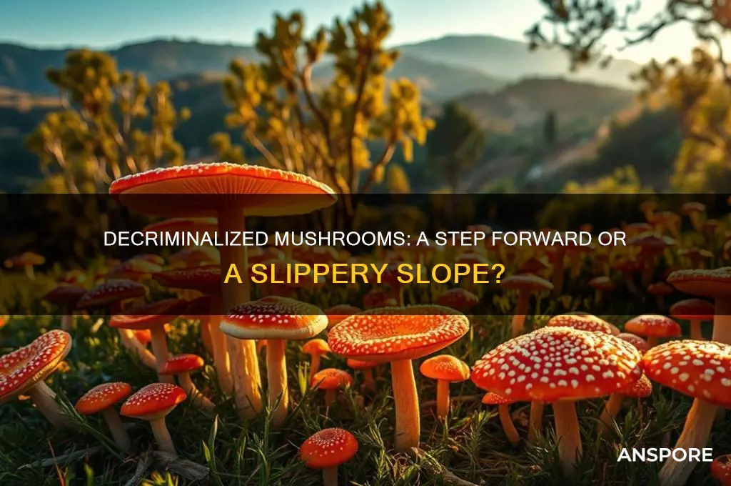 what do you think about decriminalized mushrooms