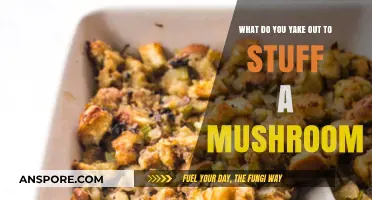 Delicious Mushroom Stuffing: What Ingredients to Bake Inside