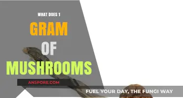 Exploring the Effects and Insights of One Gram of Mushrooms