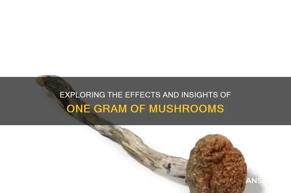what does 1 gram of mushrooms