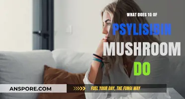 Exploring the Effects of 1 Gram of Psilocybin Mushrooms: A Comprehensive Guide