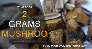 Tripping on Two Grams of Shrooms: What to Expect