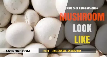 Identifying Spoiled Portobello Mushrooms: Signs of a Bad Portobello