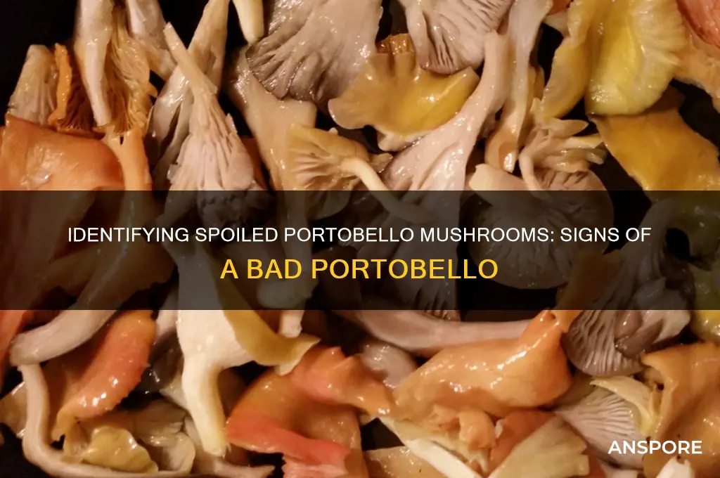 what does a bad portobello mushroom look like
