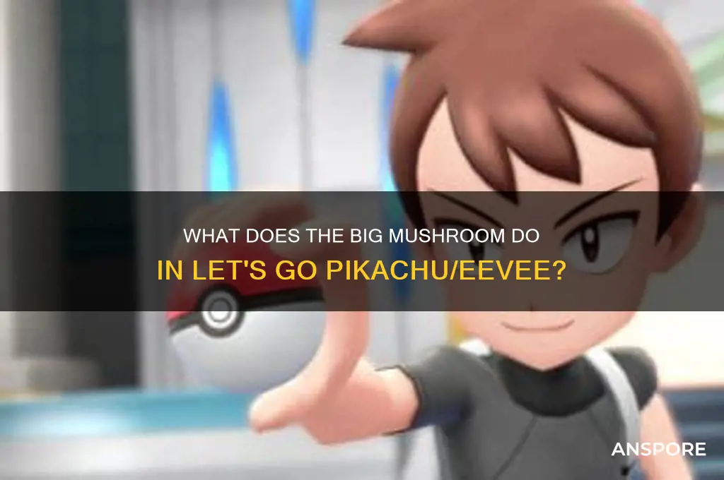 what does a big mushroom do in let