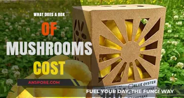 Exploring the Price: How Much Does a Box of Mushrooms Cost?