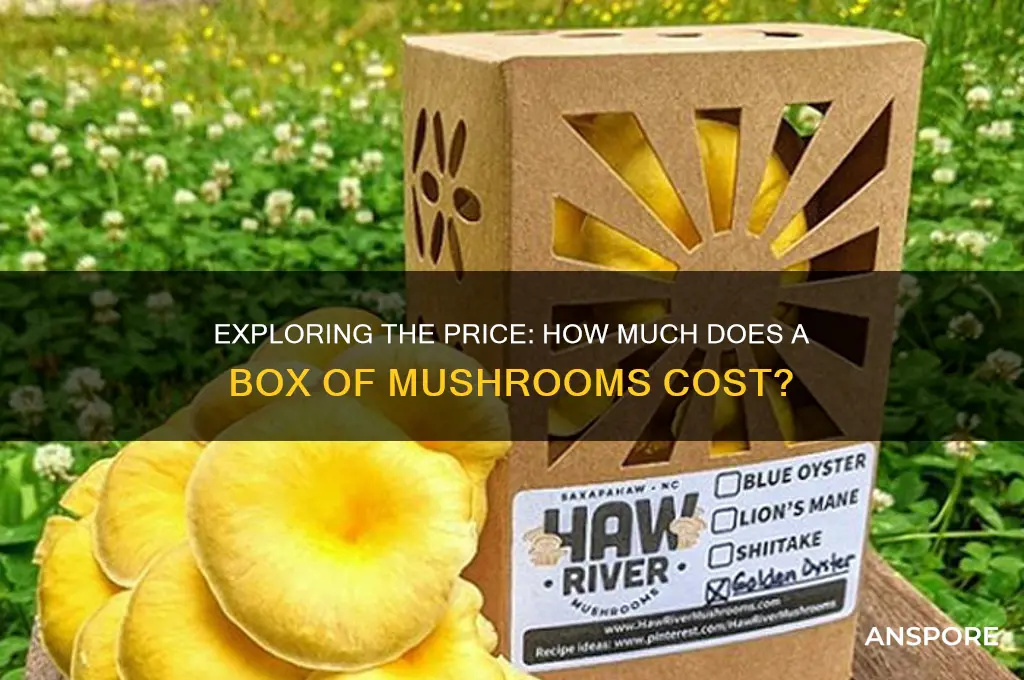 what does a box of mushrooms cost