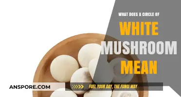 Decoding Nature's Mystery: What Does a Circle of White Mushrooms Mean?