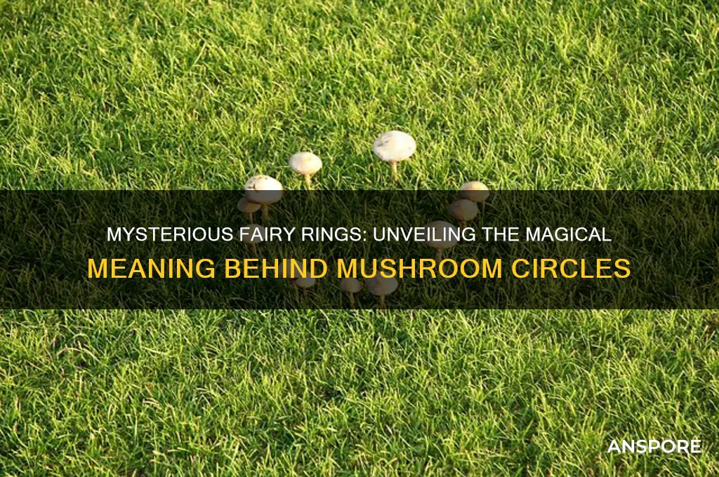 what does a fairy ring of mushrooms mean
