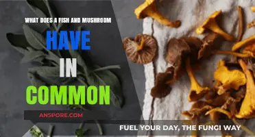 Unlikely Allies: Surprising Connections Between Fish and Mushrooms Explored