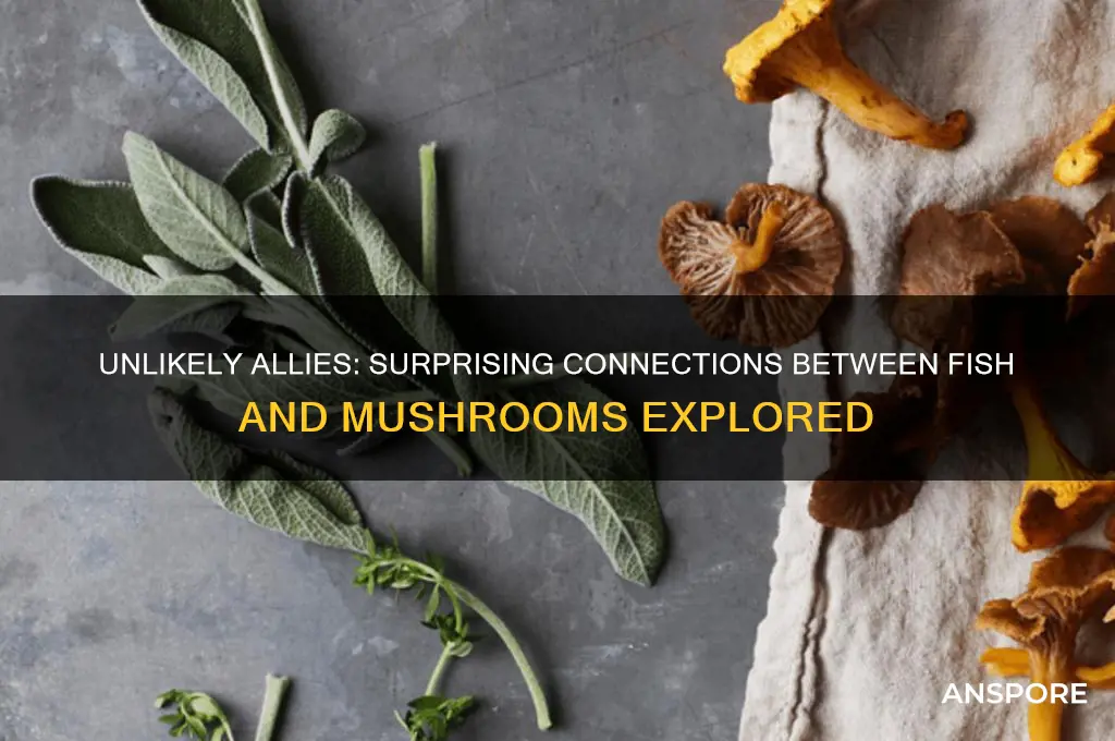 what does a fish and mushroom have in common