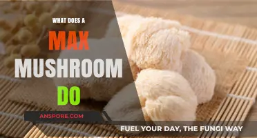 Max Mushroom Power: Unlocking Benefits, Uses, and Effects Explained