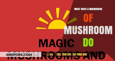 Exploring Microdosing: Effects and Benefits of Small Mushroom Doses