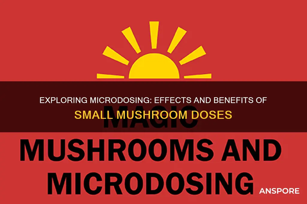 what does a microdose of mushrooms do