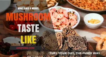 Exploring the Earthy, Nutty, and Meaty Flavor of Morel Mushrooms