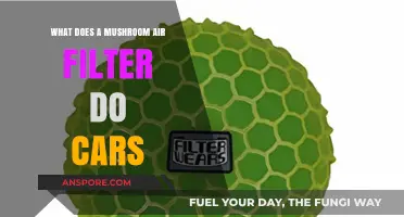 Mushroom Air Filters: Enhancing Car Performance and Engine Protection