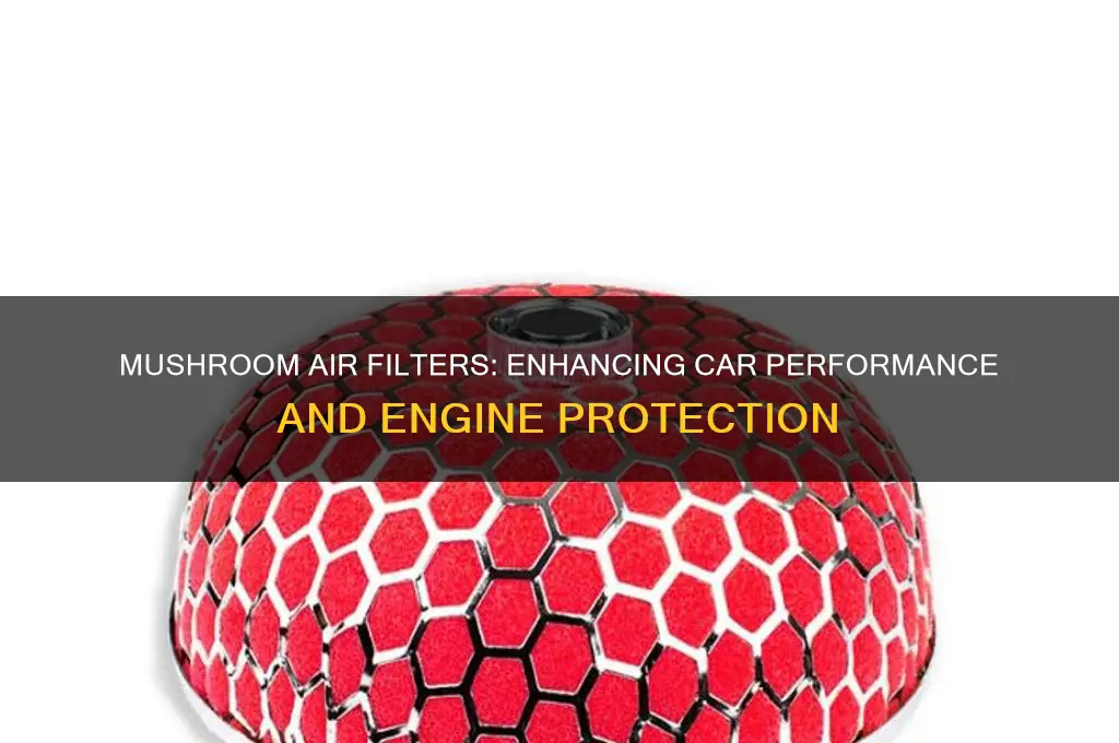what does a mushroom air filter do cars