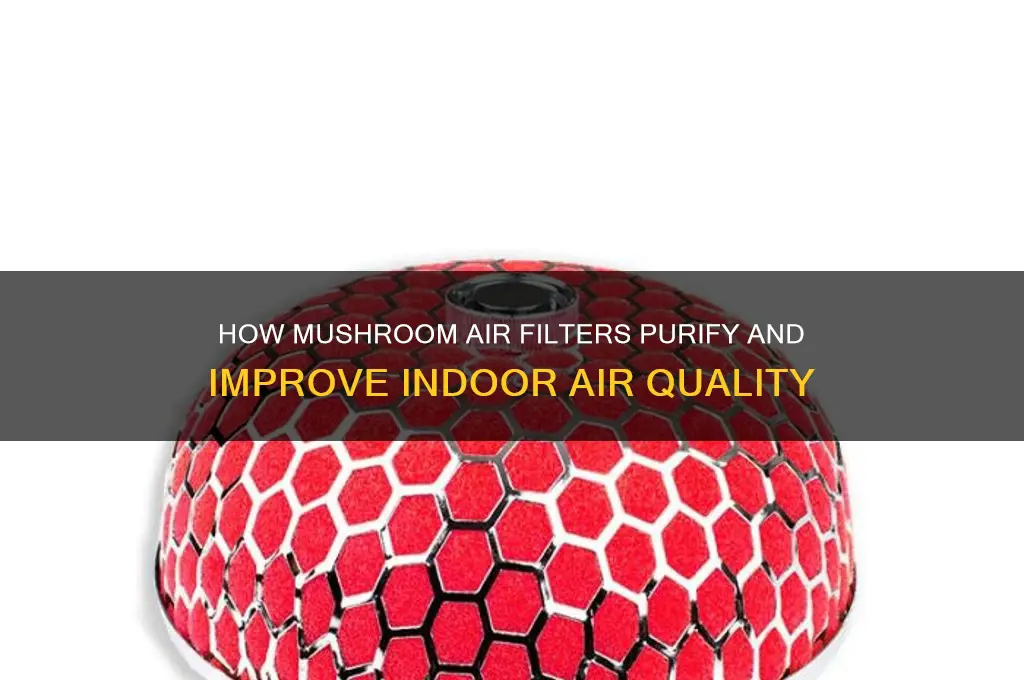 what does a mushroom air filter do
