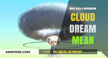 Decoding Mushroom Cloud Dreams: Symbolism, Meaning, and Interpretation Explained