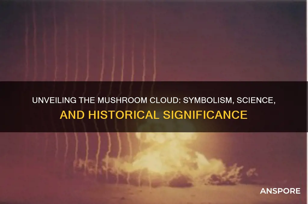 what does a mushroom cloud mean