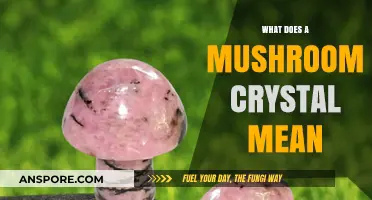 Unveiling the Mystical Significance of Mushroom Crystals in Healing and Energy