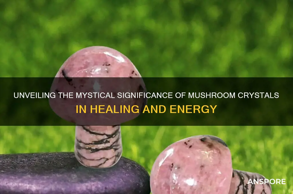 what does a mushroom crystal mean