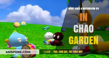 How Mushrooms Enhance Chao Growth and Abilities in Sonic's Chao Garden