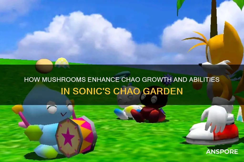 what does a mushroom do in chao garden