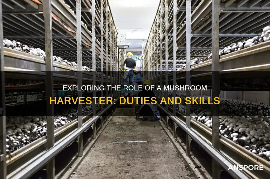 what does a mushroom harvester do