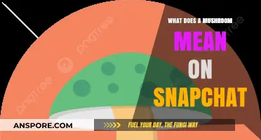 What Does the Mushroom Mean on Snapchat? Decoding the Symbol