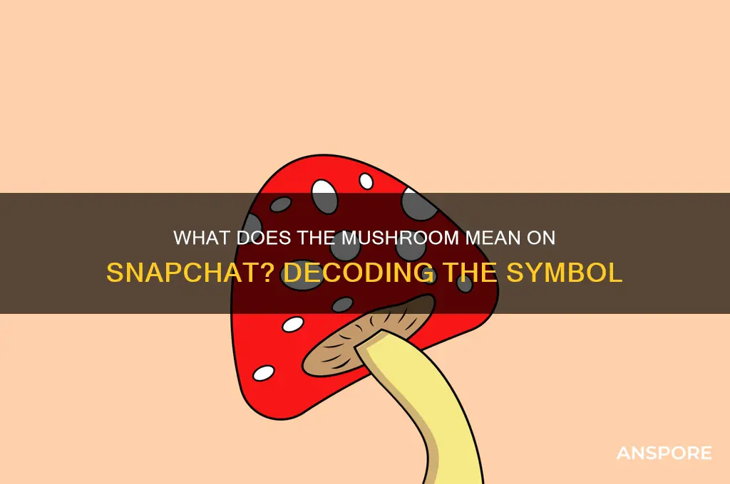 what does a mushroom mean on snapchat
