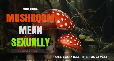 Unveiling the Sexual Symbolism: What Does a Mushroom Really Mean?