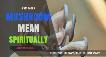 Unveiling the Spiritual Symbolism of Mushrooms: Growth, Enlightenment, and Connection