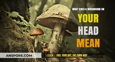Mushroom on Your Head: Unraveling the Meaning and Symbolism