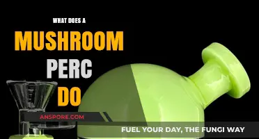 What Does a Mushroom Perc Do? Exploring Its Function and Benefits
