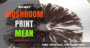 Understanding Mushroom Prints: Decoding Nature's Unique Spore Patterns